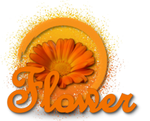 Apartment Flower